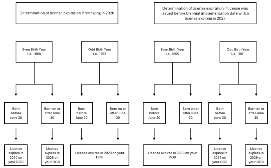 Two side-by-side decision flowcharts for determining medical license expiration dates under biennial licensure. Left flowchart — Renewing in 2026: Even birth year (e.g. 1990): born before June 30, license expires 2030 on DOB; born on or after June 30, license expires 2028 on DOB. Odd birth year (e.g. 1991): born before or after June 30, license expires 2029 on DOB. Right flowchart — License issued before biennial implementation date with a 2027 expiration: Even birth year (e.g. 1990): born before or after June 30, license expires 2030 on DOB. Odd birth year (e.g. 1991): born before June 30, license expires 2031 on DOB; born on or after June 30, license expires 2029 on DOB.