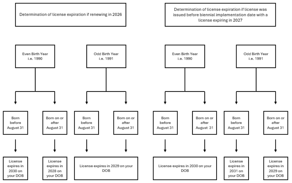 Two side-by-side decision flowcharts for determining nursing license expiration dates under biennial licensure. Left flowchart — Determination of license expiration if renewing in 2026: Even birth year (e.g. 1990): born before August 31, license expires 2030 on DOB; born on or after August 31, license expires 2028 on DOB. Odd birth year (e.g. 1991): born before August 31, license expires 2029 on DOB; born on or after August 31, license expires 2029 on DOB. Right flowchart — Determination of license expiration if license was issued before biennial implementation date with a license expiring in 2027: Even birth year (e.g. 1990): born before August 31, license expires 2030 on DOB; born on or after August 31, license expires 2030 on DOB. Odd birth year (e.g. 1991): born before August 31, license expires 2031 on DOB; born on or after August 31, license expires 2029 on DOB.